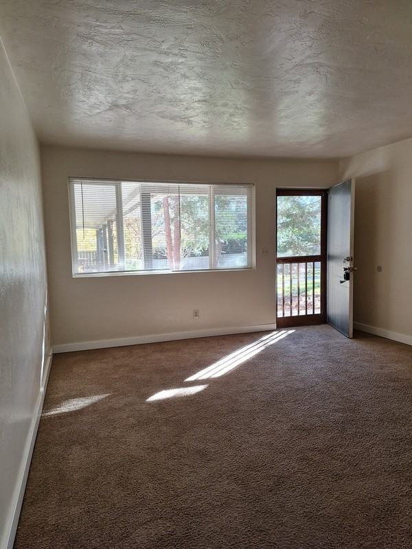 801 Ashland St #2 - Photo 5 of 33