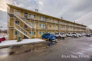 Cherry Tree - Photo 1 of 1