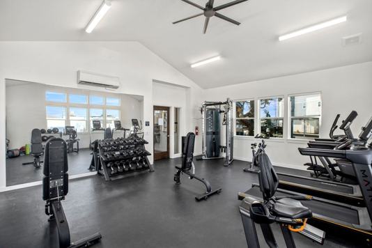 Atlas Management LLC 3 of 4