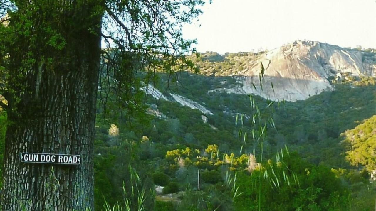 28193 Teresa Springs Road - Photo 2 of 9