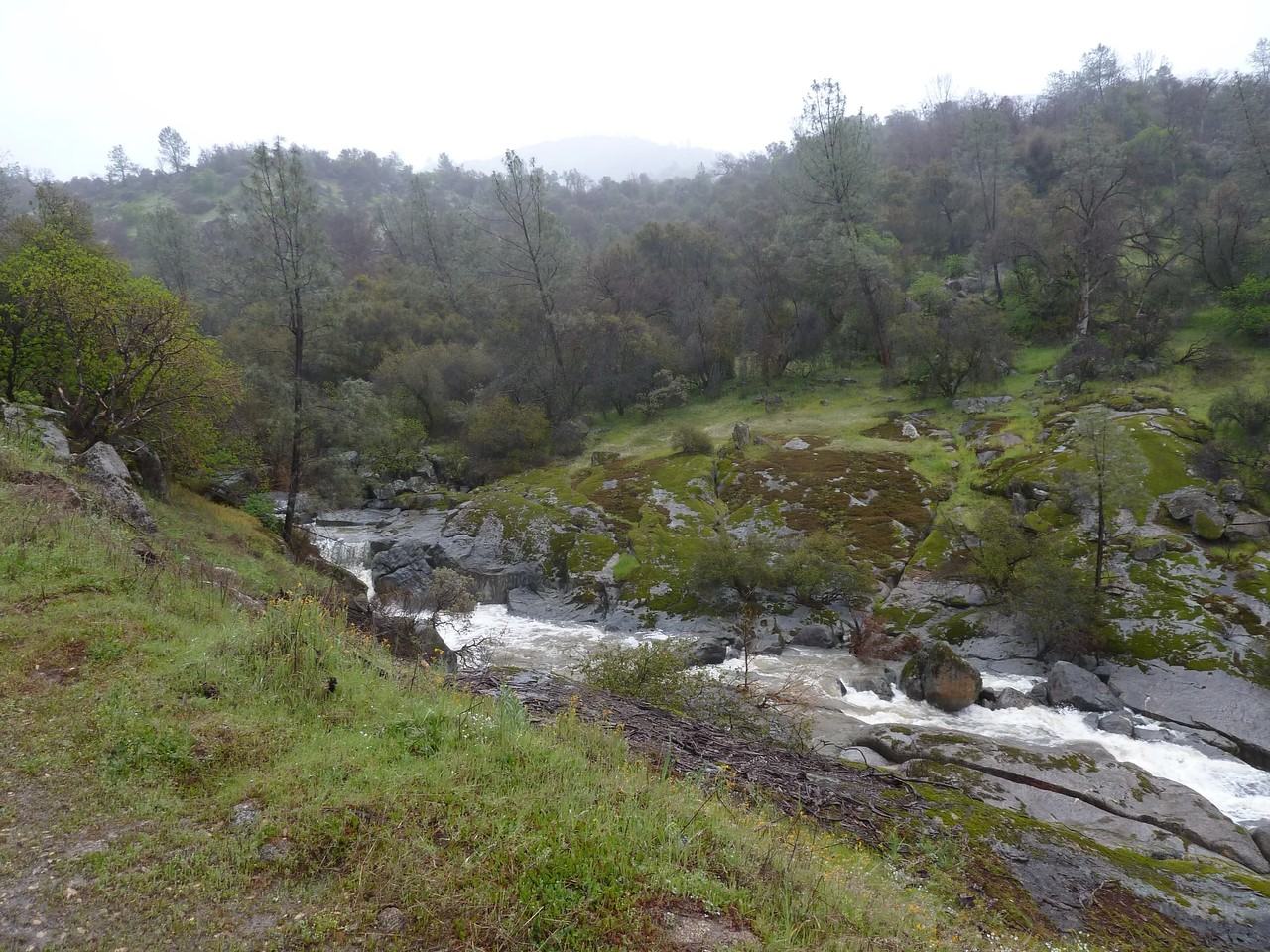 28193 Teresa Springs Road - Photo 3 of 9