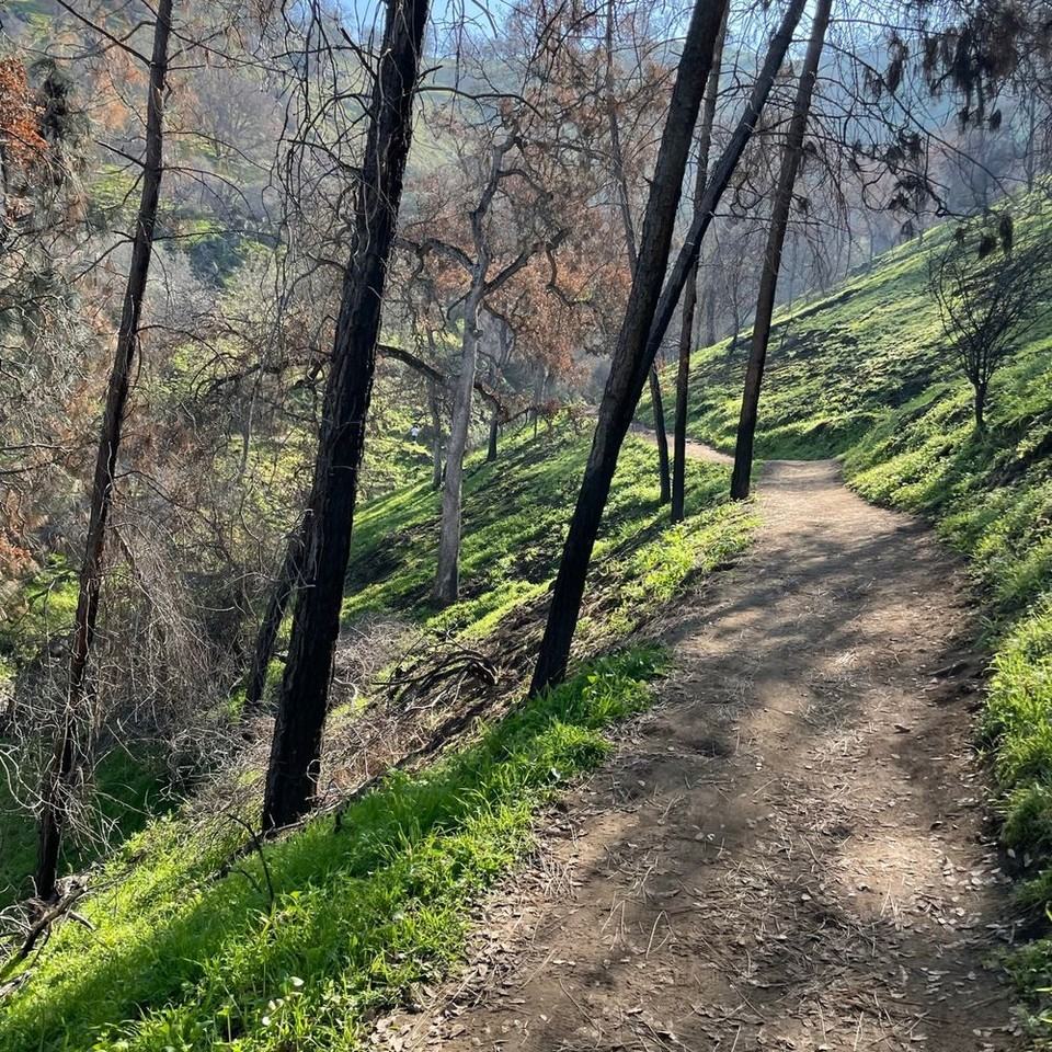 28193 Teresa Springs Road - Photo 5 of 9