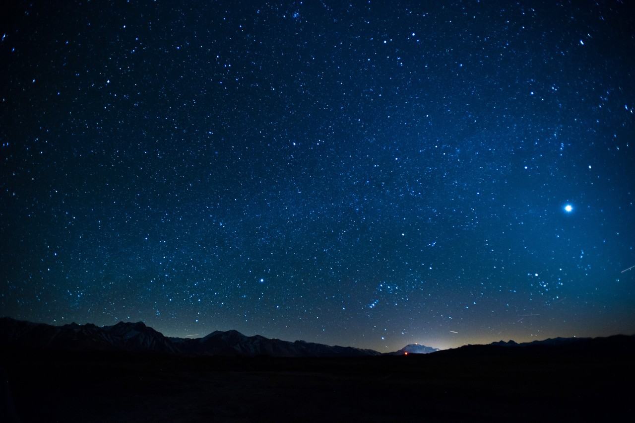 28193 Teresa Springs Road - Photo 6 of 9