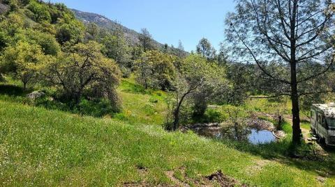 28193 Teresa Springs Road - Photo 7 of 9