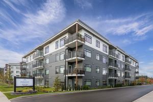 featured image of 423 Apartment