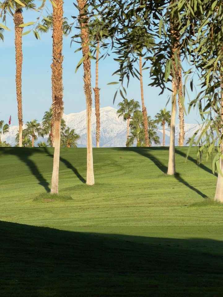 269 Vista Royale Cir W - Photo 2 of 50