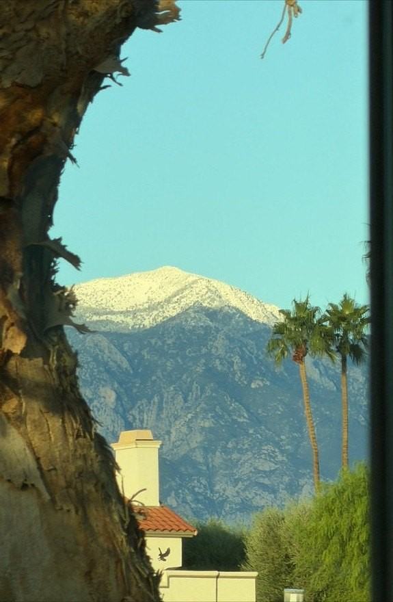 269 Vista Royale Cir W - Photo 6 of 50