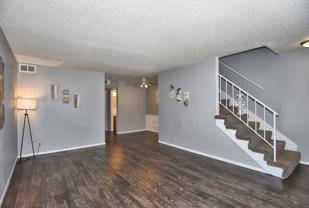 Evergreen - Photo 1 of 1