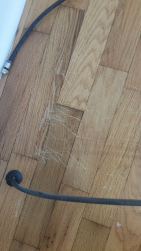 414 East Park Avenue Lane #C - Photo 6 of 26