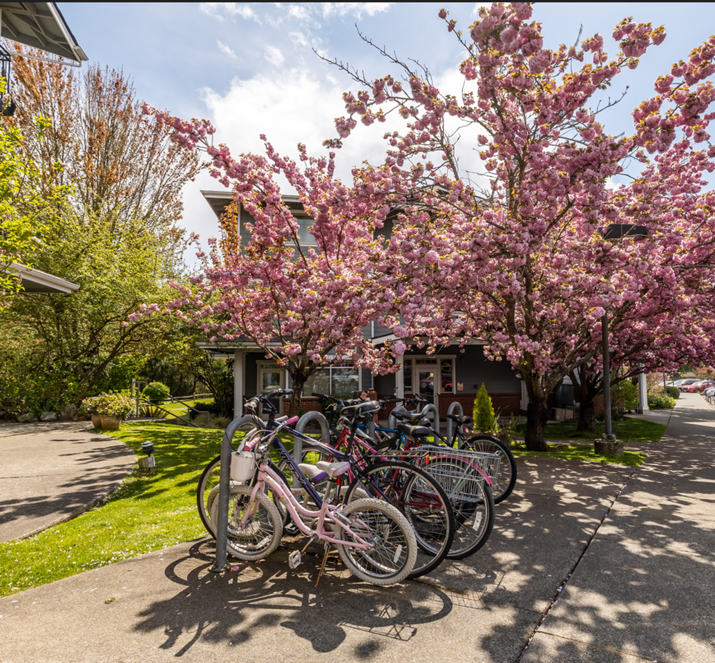 Lynwood Commons - Photo 4 of 14