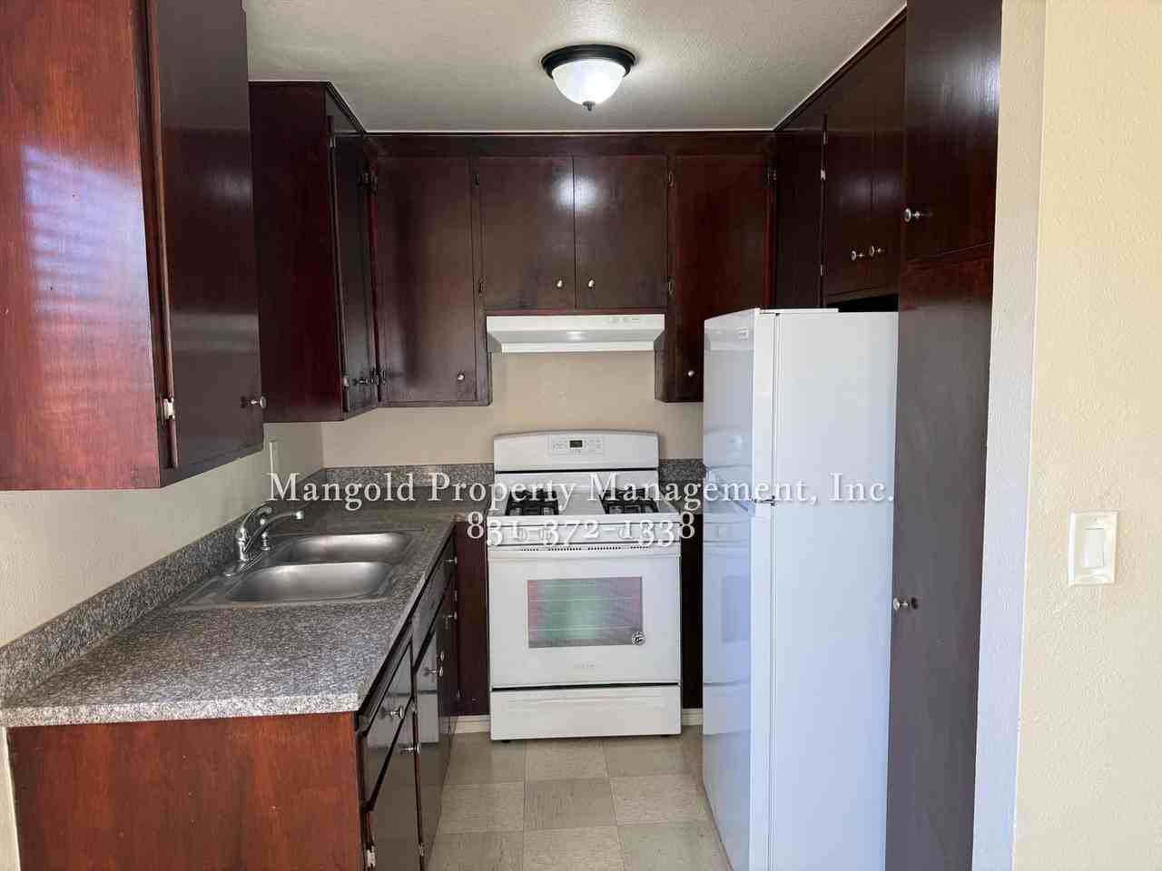 255four - Photo 2 of 33