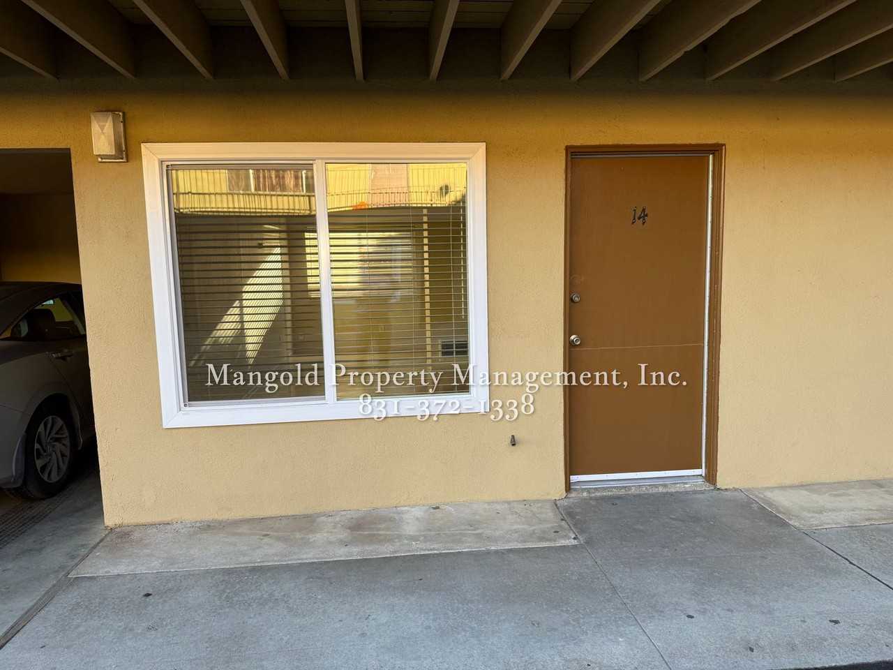 255four - Photo 3 of 33