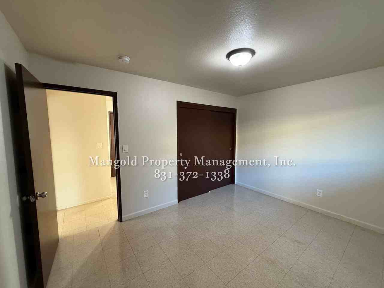 255four - Photo 4 of 33