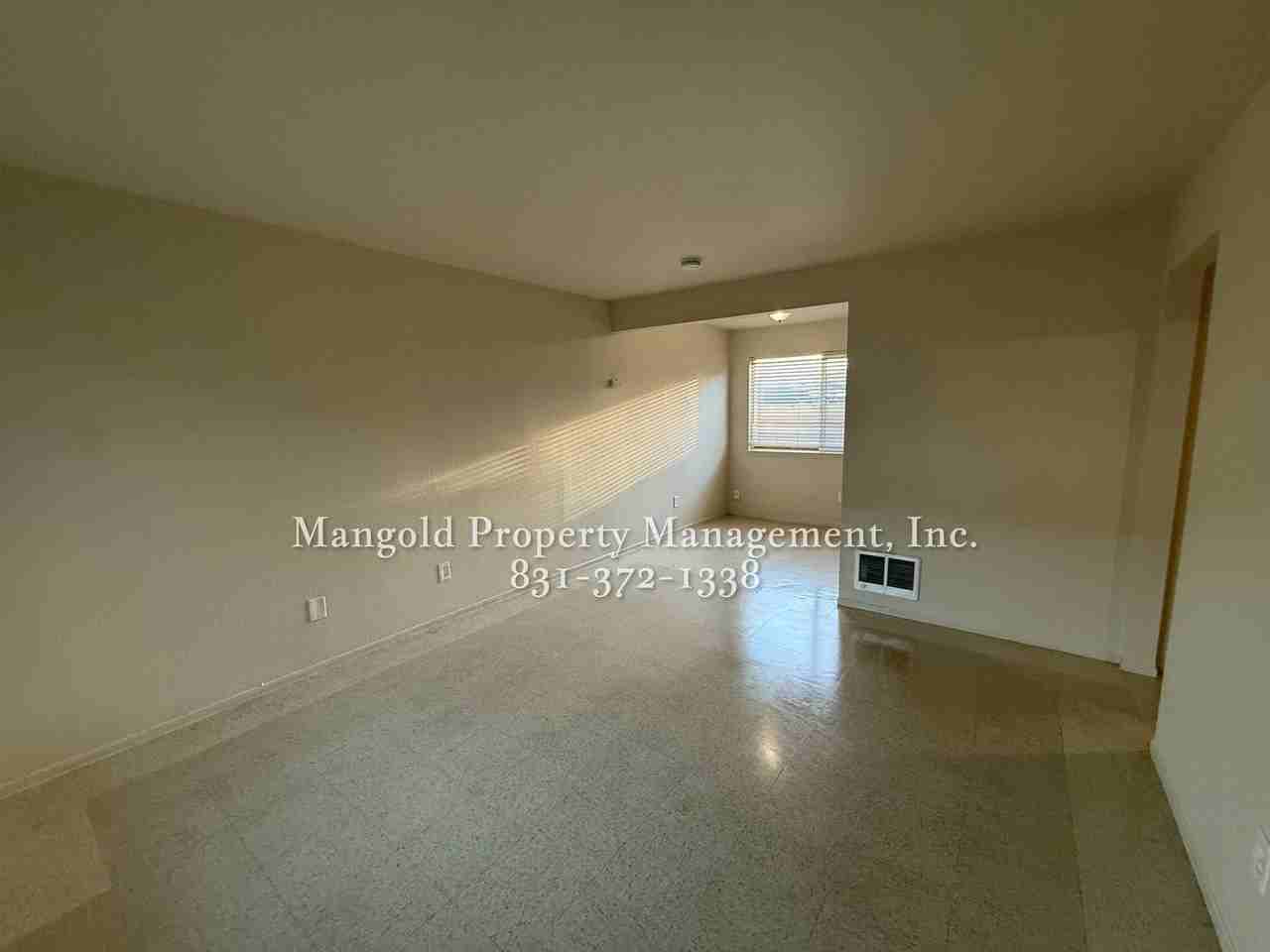 255four - Photo 5 of 33