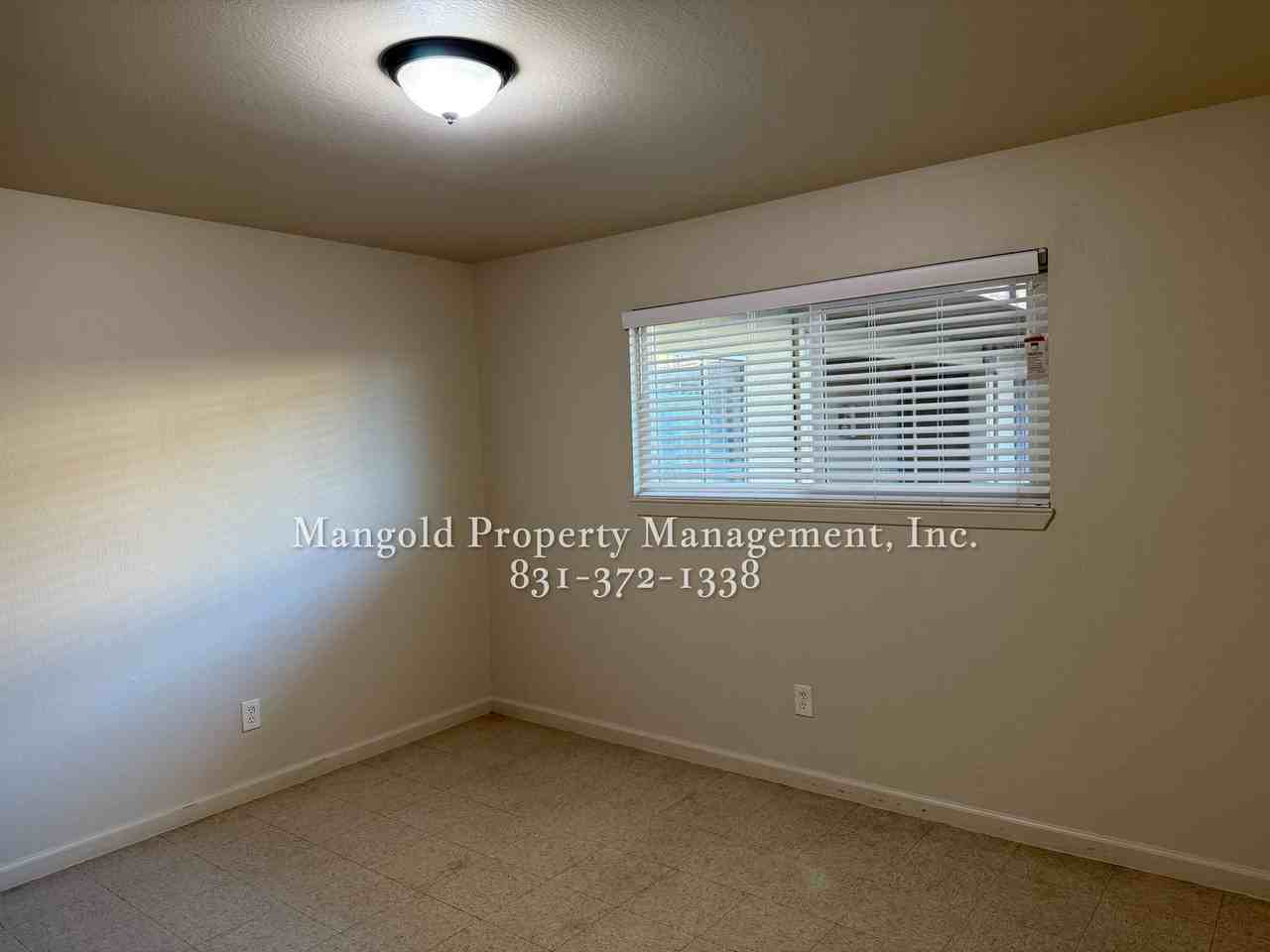 255four - Photo 6 of 33