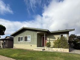 featured image of Palm Way