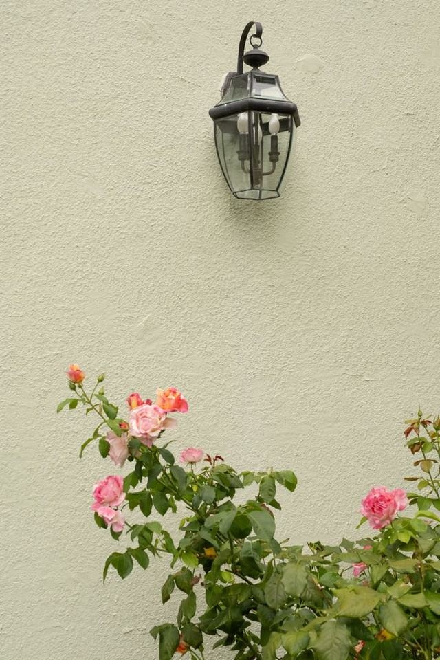 CASTLE ROSE APARTMENTS (BALM05) - Photo 6 of 50