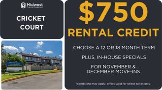 Cricket Court - Photo 1 of 1