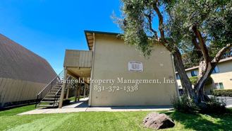 Perez - Photo 1 of 1