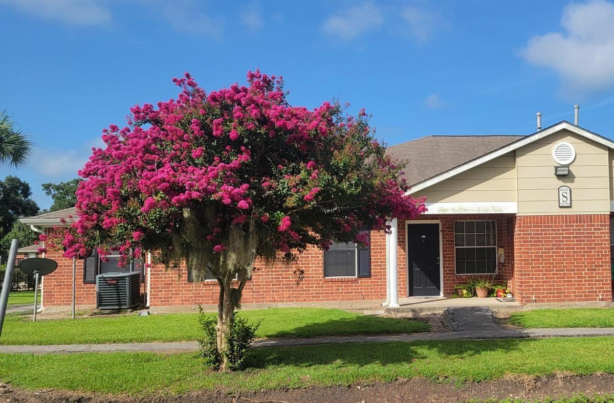 300 Silverleaf Rd - Photo 4 of 5