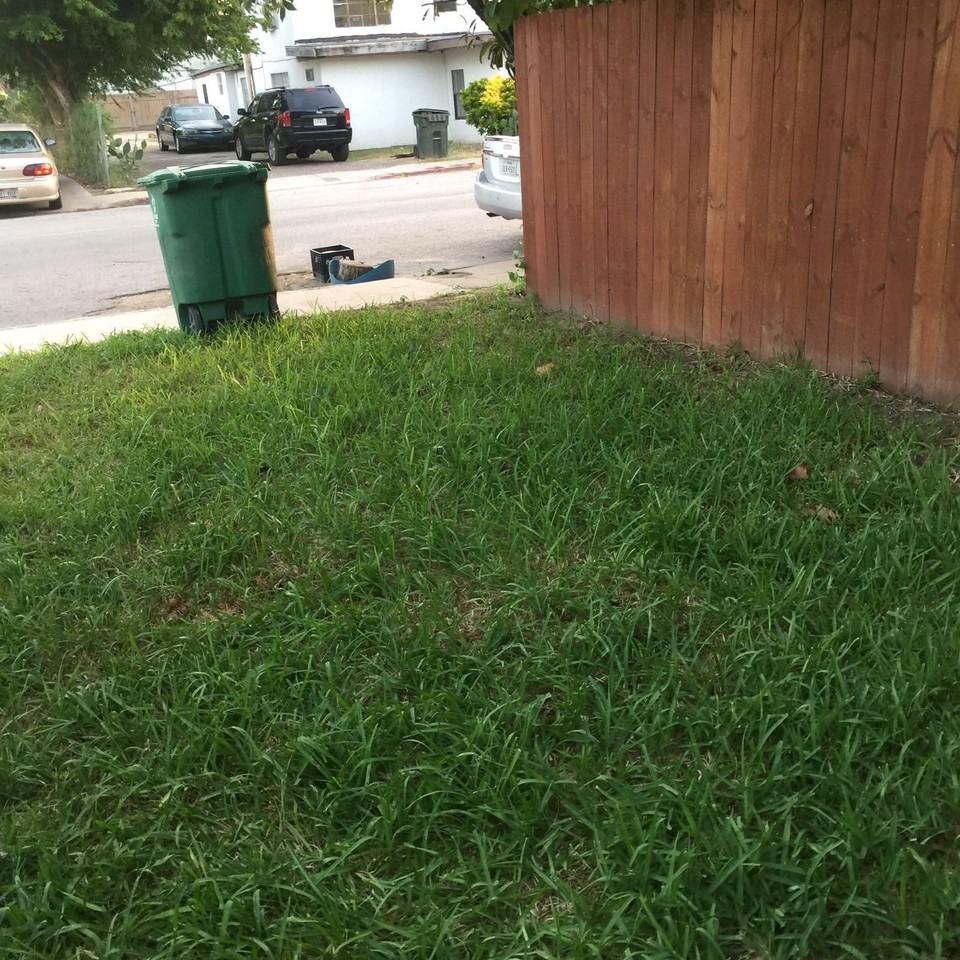 909 East Jefferson Street #A - Photo 3 of 31