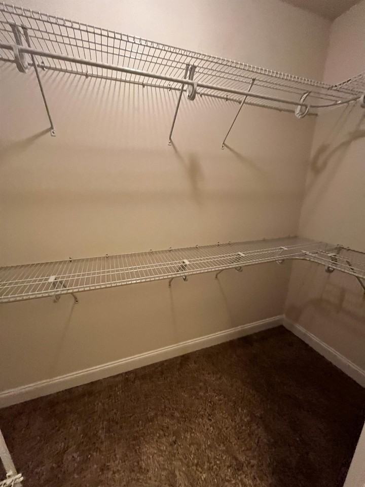 808 Pine Alley St - Photo 3 of 28