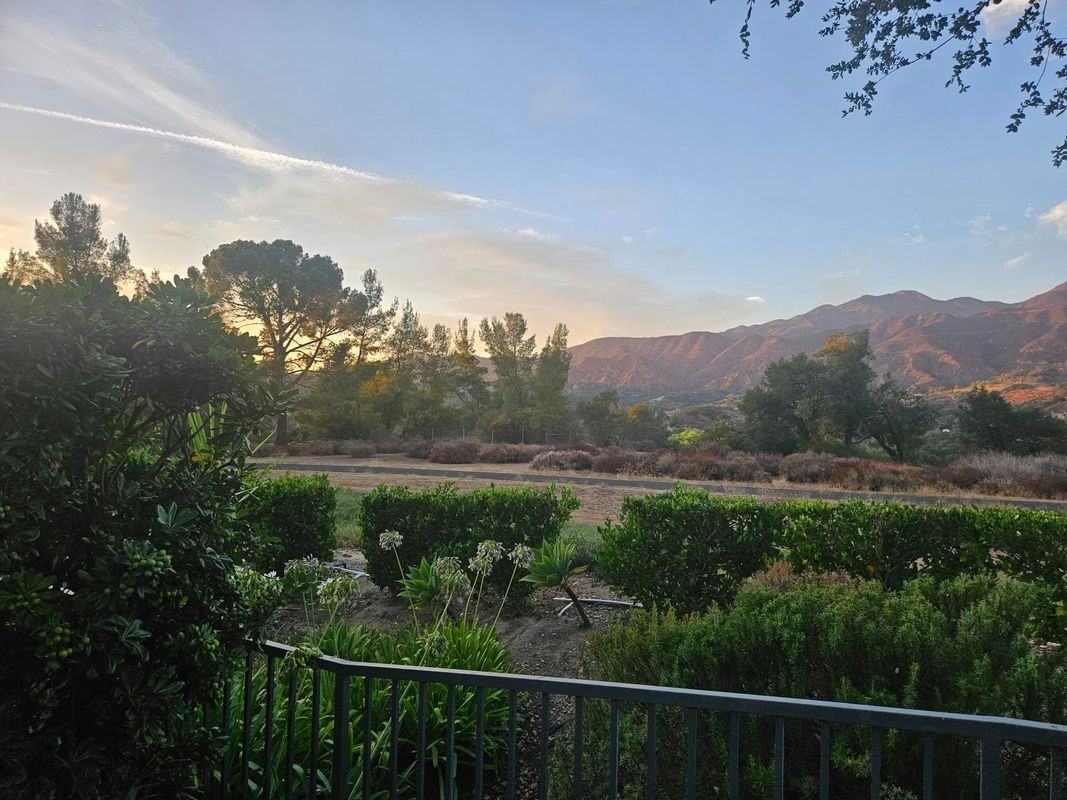 21 Lobelia - Photo 2 of 10