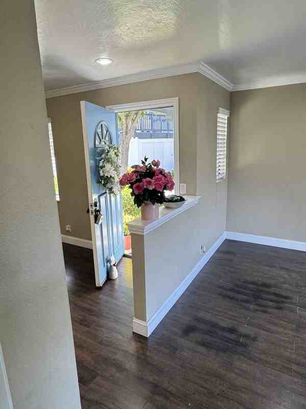 21 Lobelia - Photo 4 of 10