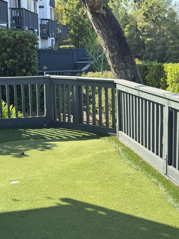 21 Lobelia - Photo 6 of 10