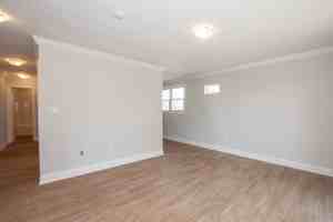 featured image of 81 Empire Street