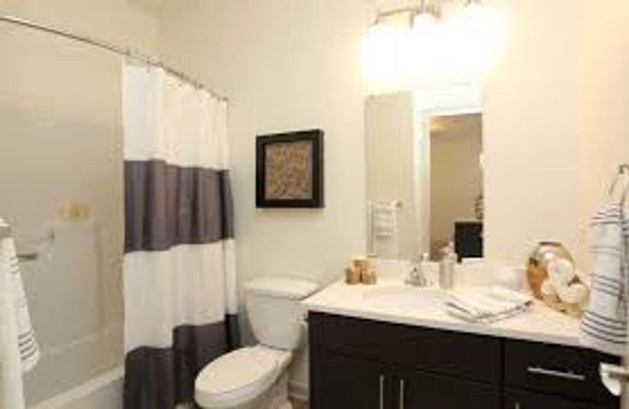 1633 On The Park - Photo 2 of 7