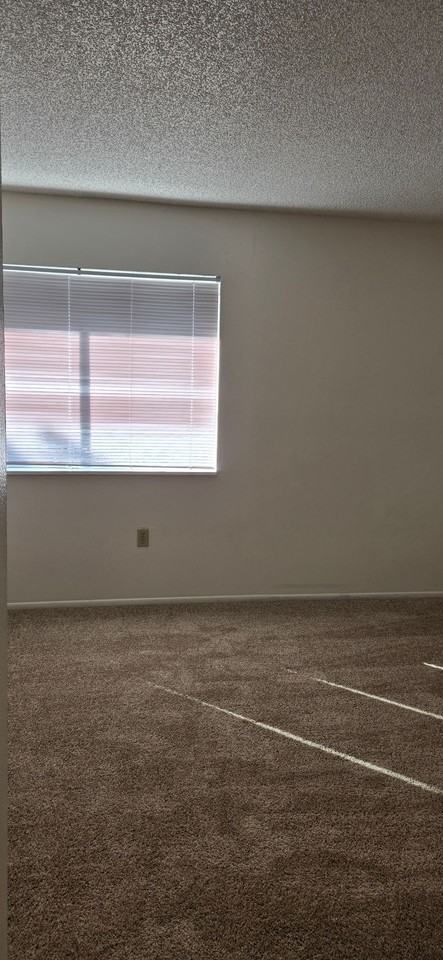 Danube Apartments - Photo 6 of 11