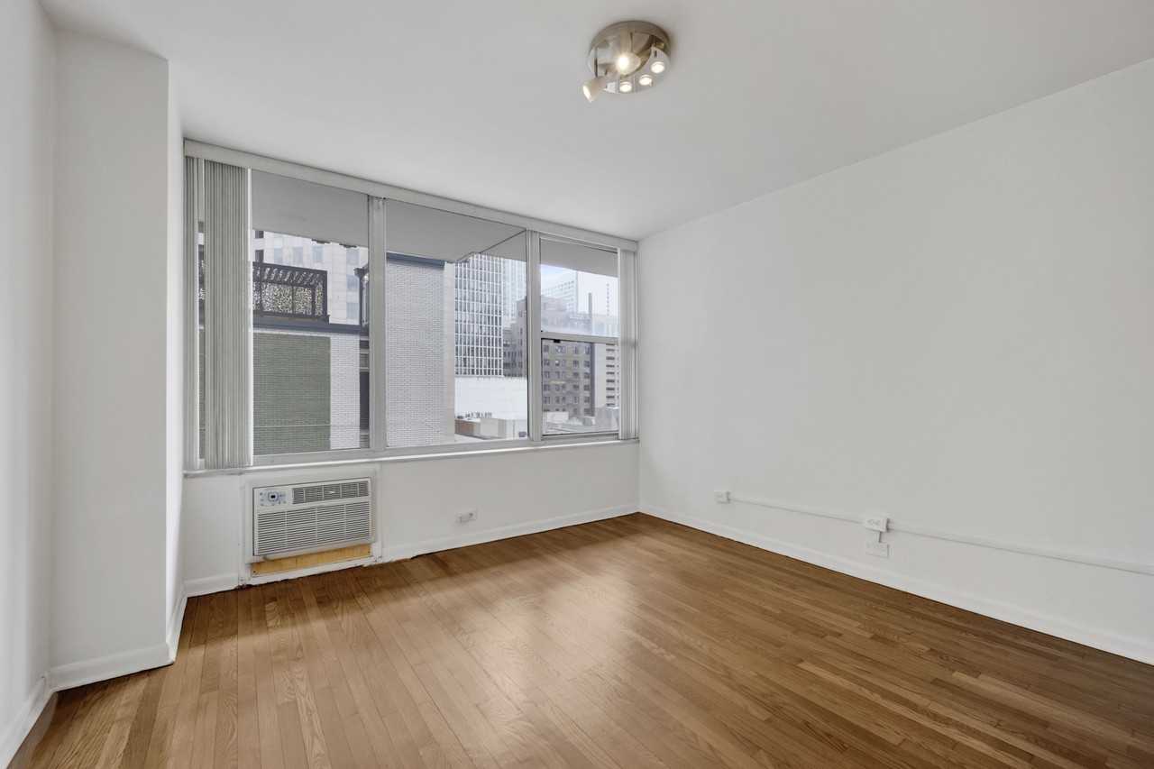 1000 North Lake Shore Drive #803 - Photo 5 of 11