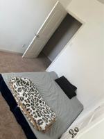 featured image of 1001 Liberty Meadows Drive