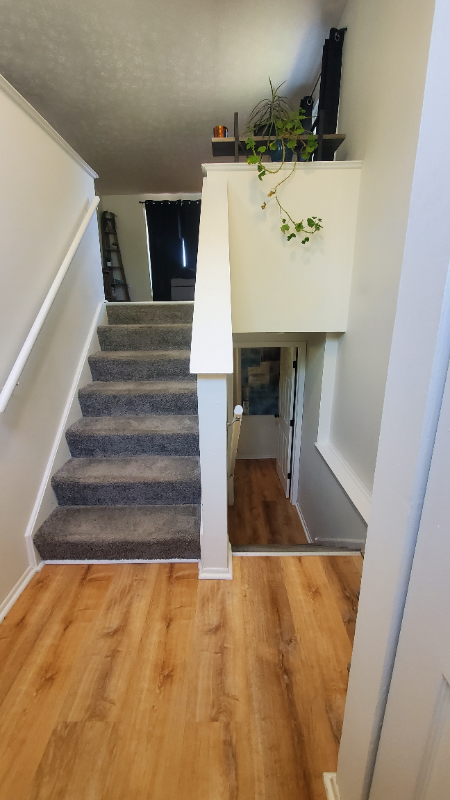 977 Kyle Ave - Photo 2 of 19