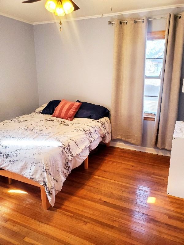 4317 Gailwood Ave - Photo 6 of 6