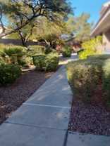 10552 Pine Pointe Avenue #202 - Photo 1 of 1