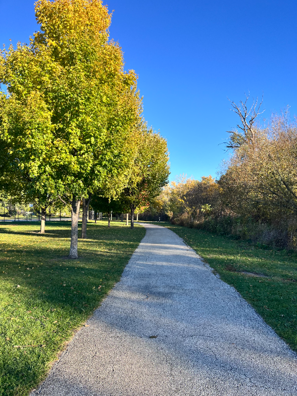 3623 W Foster Ave - Photo 5 of 35