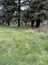 39 Stark Lane #NA - Photo 1 of 1