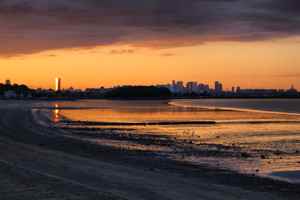 featured image of 55 Channing Street #55