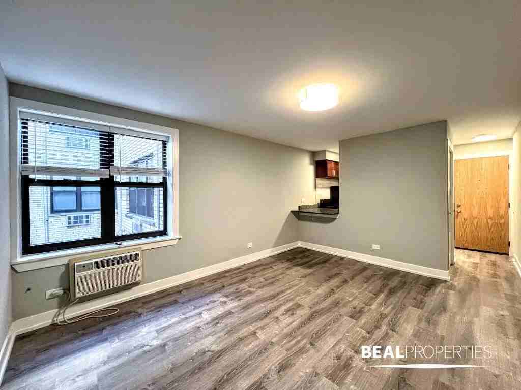 447 W Barry Ave #323