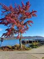 177 West Parmenter Street #0 - Photo 1 of 1