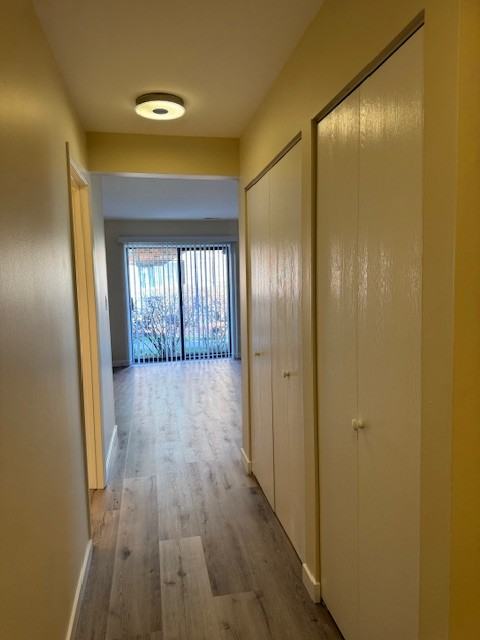 1767 W Algonquin Rd #1A - Photo 7 of 13