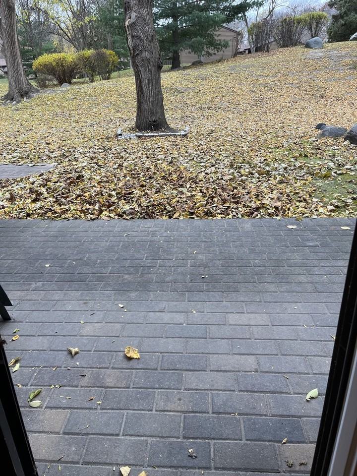 429 W Eagle Lake Dr #NA - Photo 7 of 24