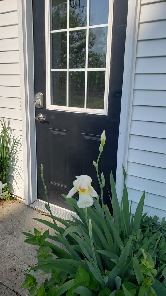 6590 Hannah Road #BS - Photo 2 of 15