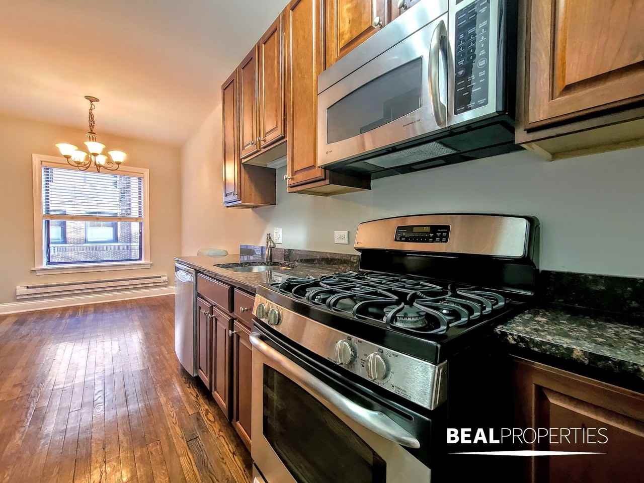 744 West Addison Street - Photo 5 of 11