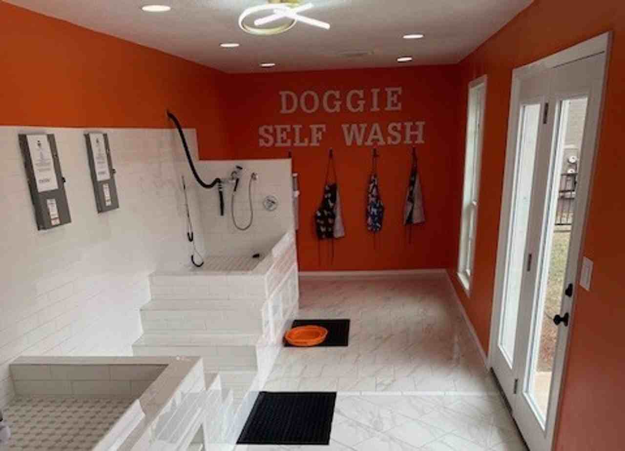 Solare - Photo 6 of 20