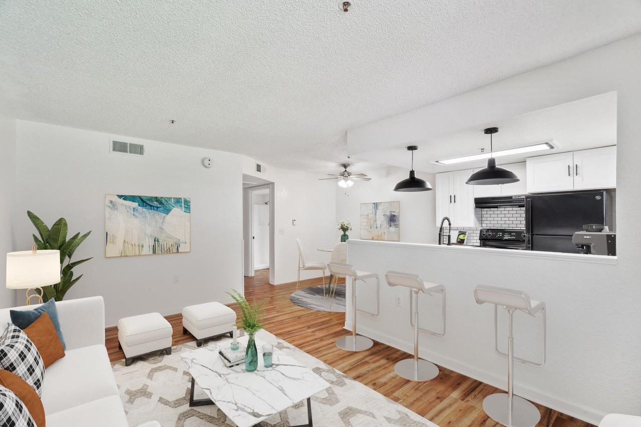 Palomar - Photo 2 of 21