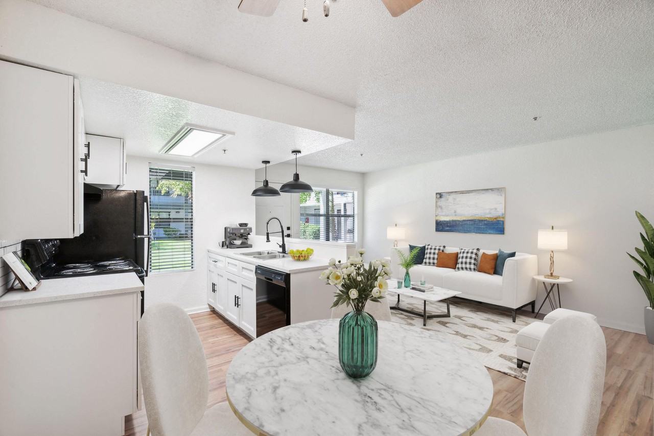 Palomar - Photo 3 of 21