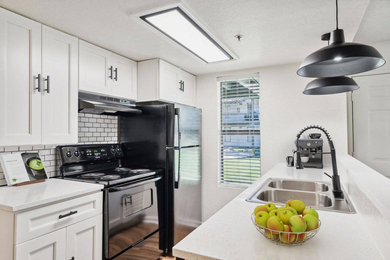 Palomar - Photo 4 of 21